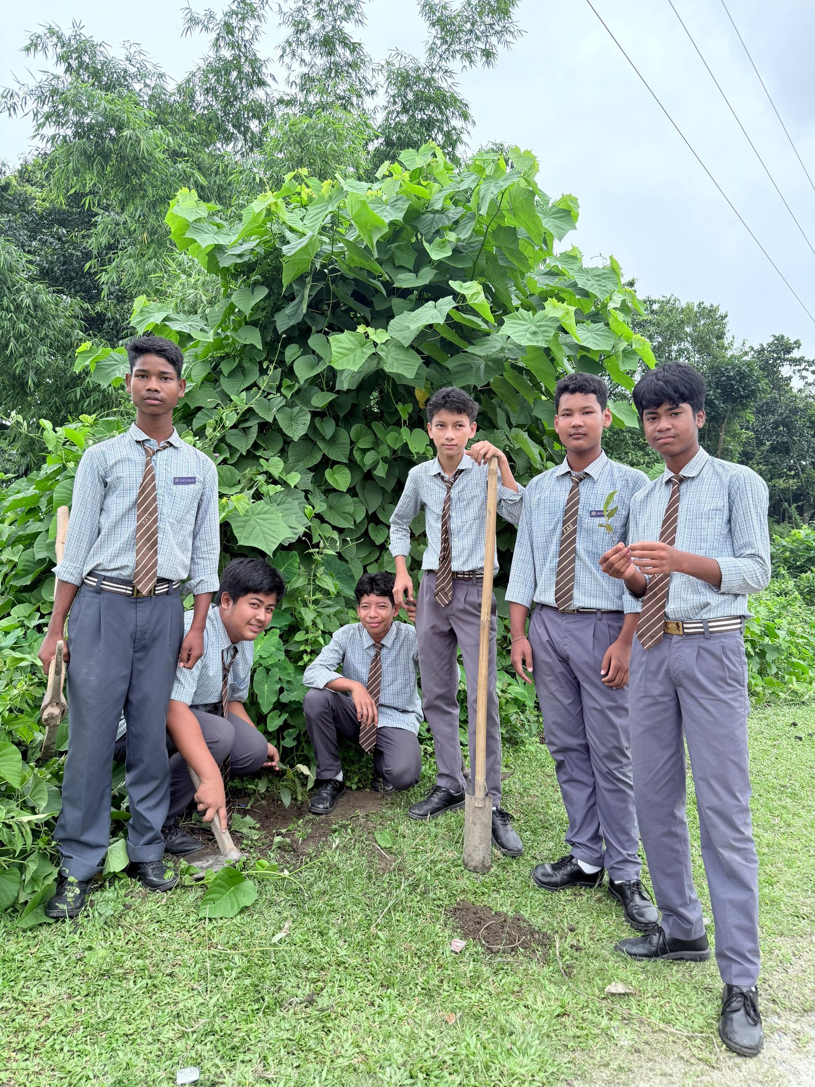 Students planting trees